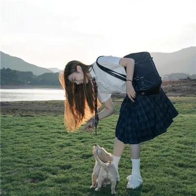 父仇者