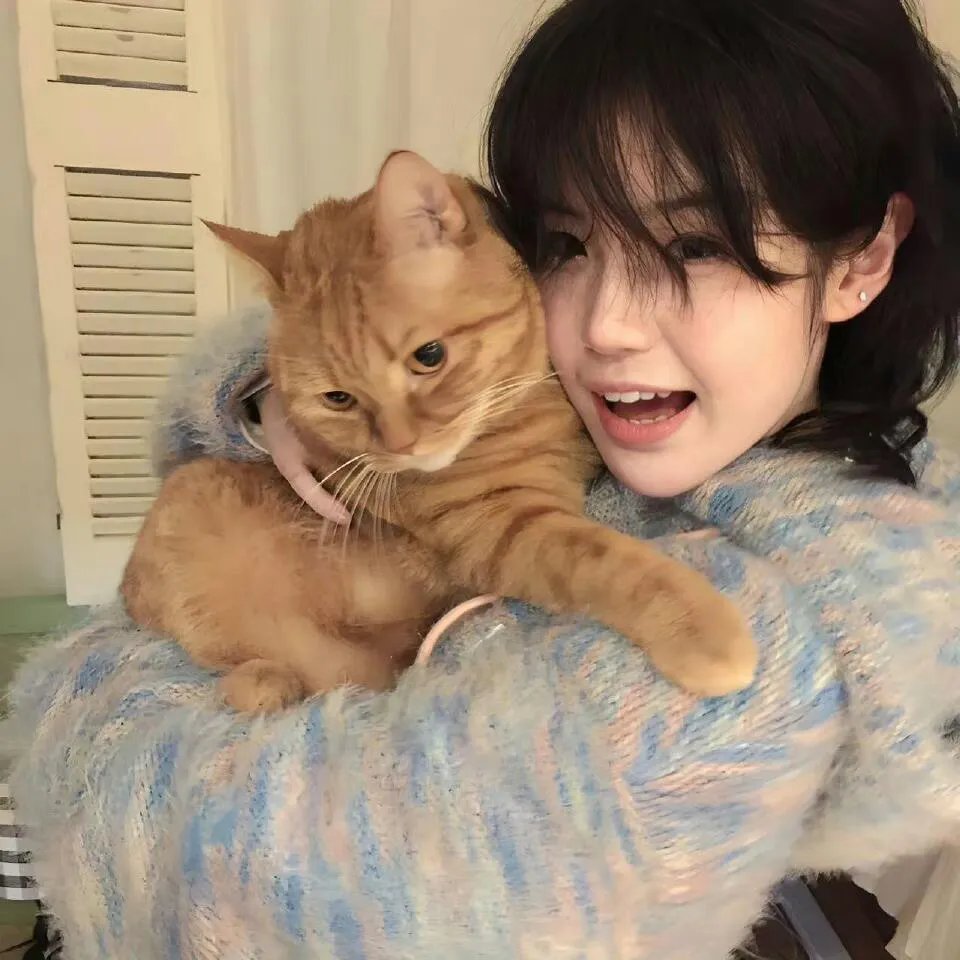 羊狼共和国:猪事大急